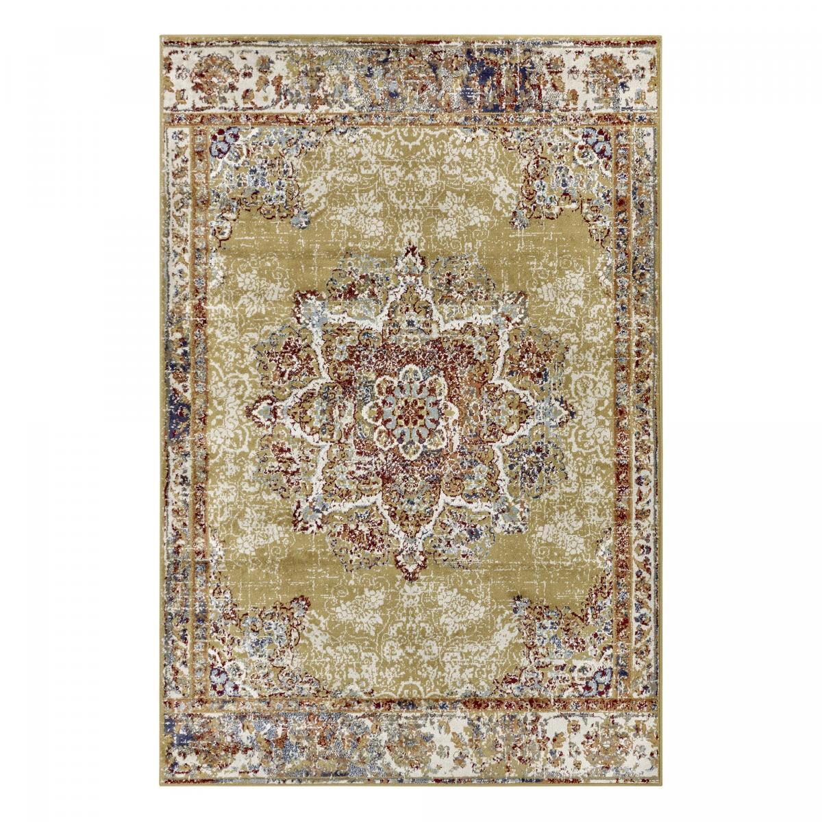 Tapis salon Rectangulaire Oriental