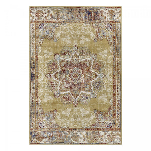 Tapis salon Rectangulaire Oriental