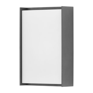 FORLIGHT Block - Aplique de Pared Exterior LED Luz Neutra 4000K Moderno para Terraza y Jardín de Aluminio Gris Antracita