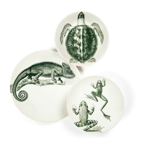 Set 3 Piatti Excelsa – Faune & Flore, Ceramica Multicolore