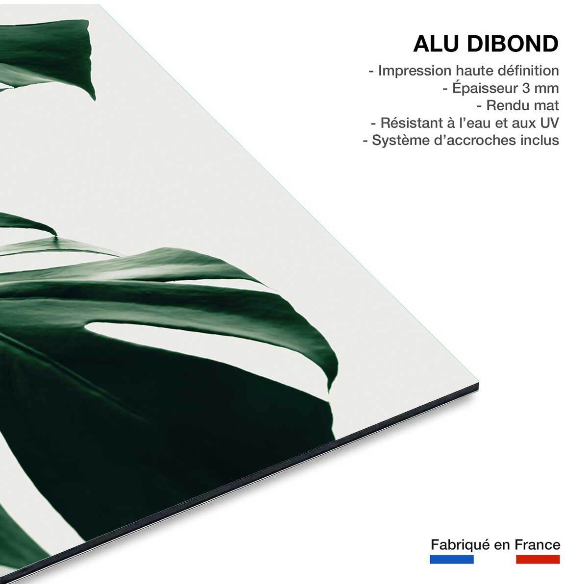 Tableau monstera due Tableau alu Dibond
