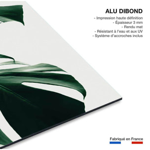 Tableau monstera due Tableau alu Dibond