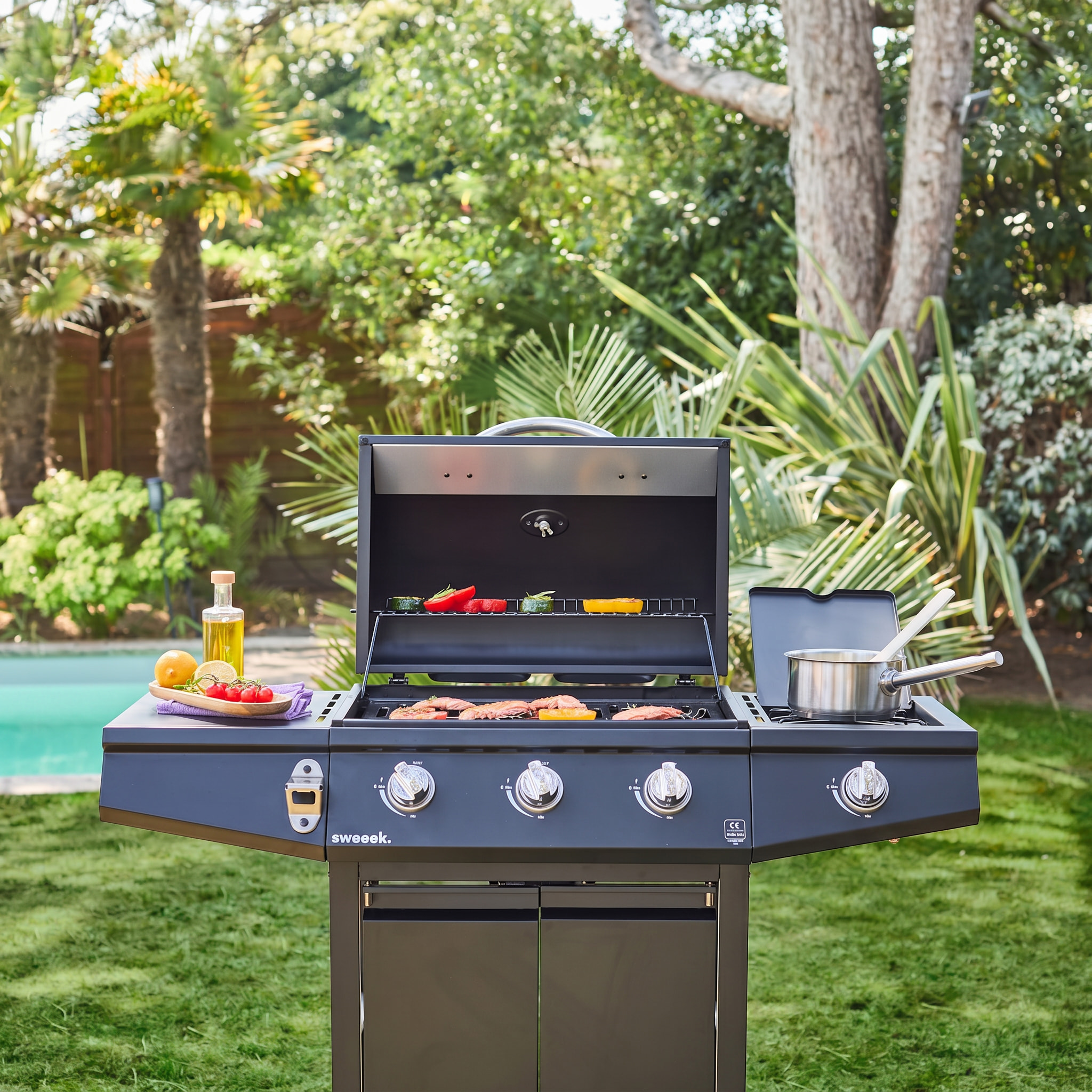 Barbecue gaz 3 brûleurs + 1 feu latéral avec roues, tablettes et thermomètre TREVILLE 3