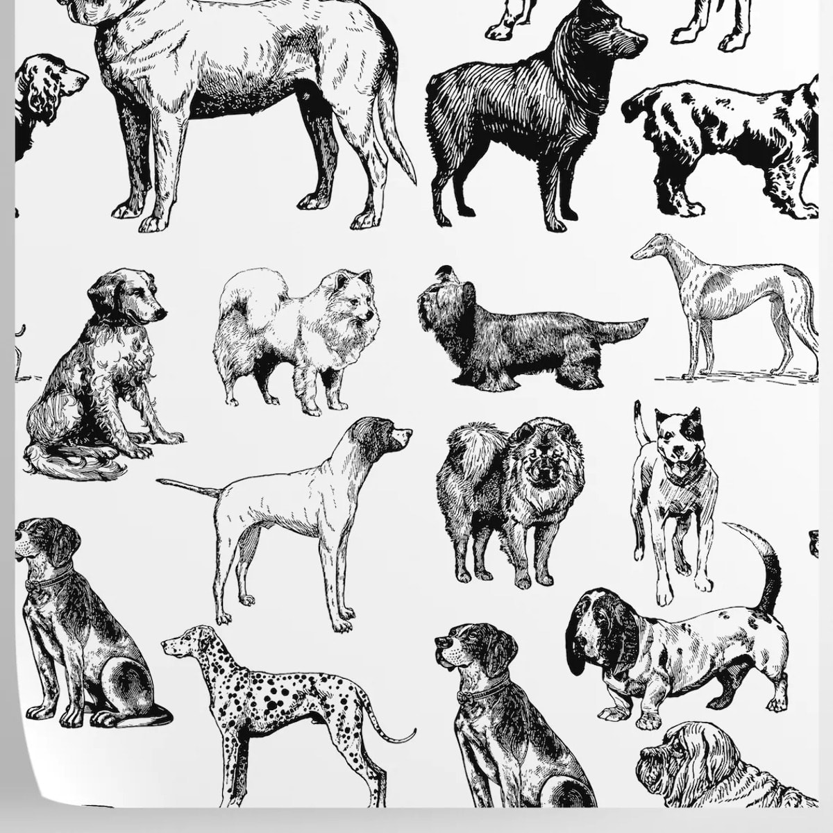 Carta da Parati Cani Bianchi e Neri