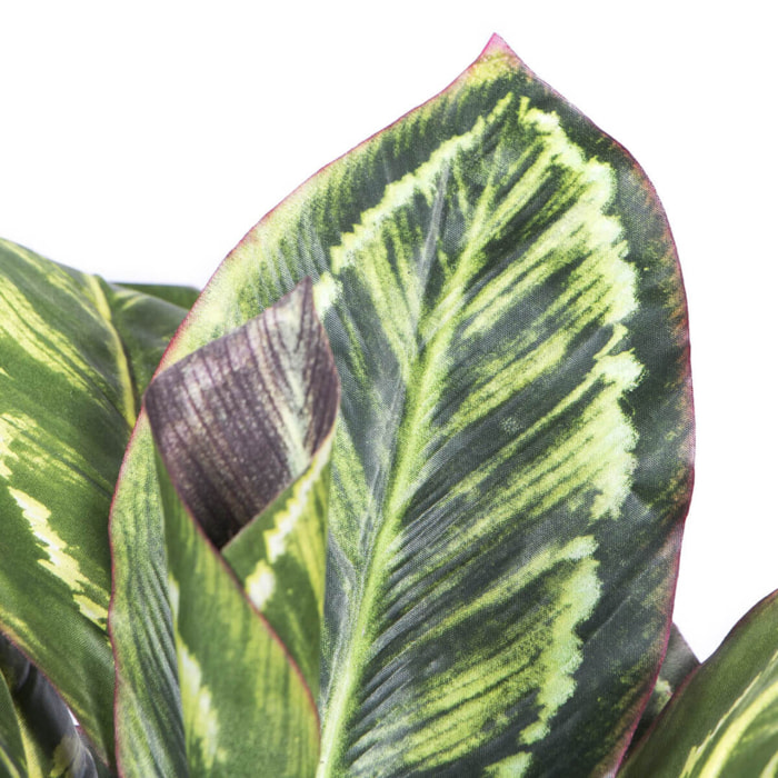 Planta Artificial Calatea Cebra 49 Cm