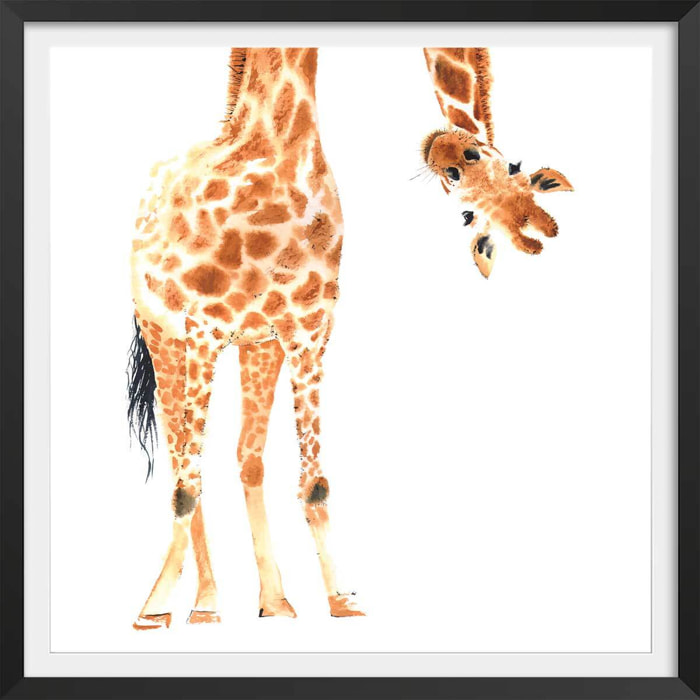 Affiche dessin coucou de girafe Affiche + cadre en bois - Noir