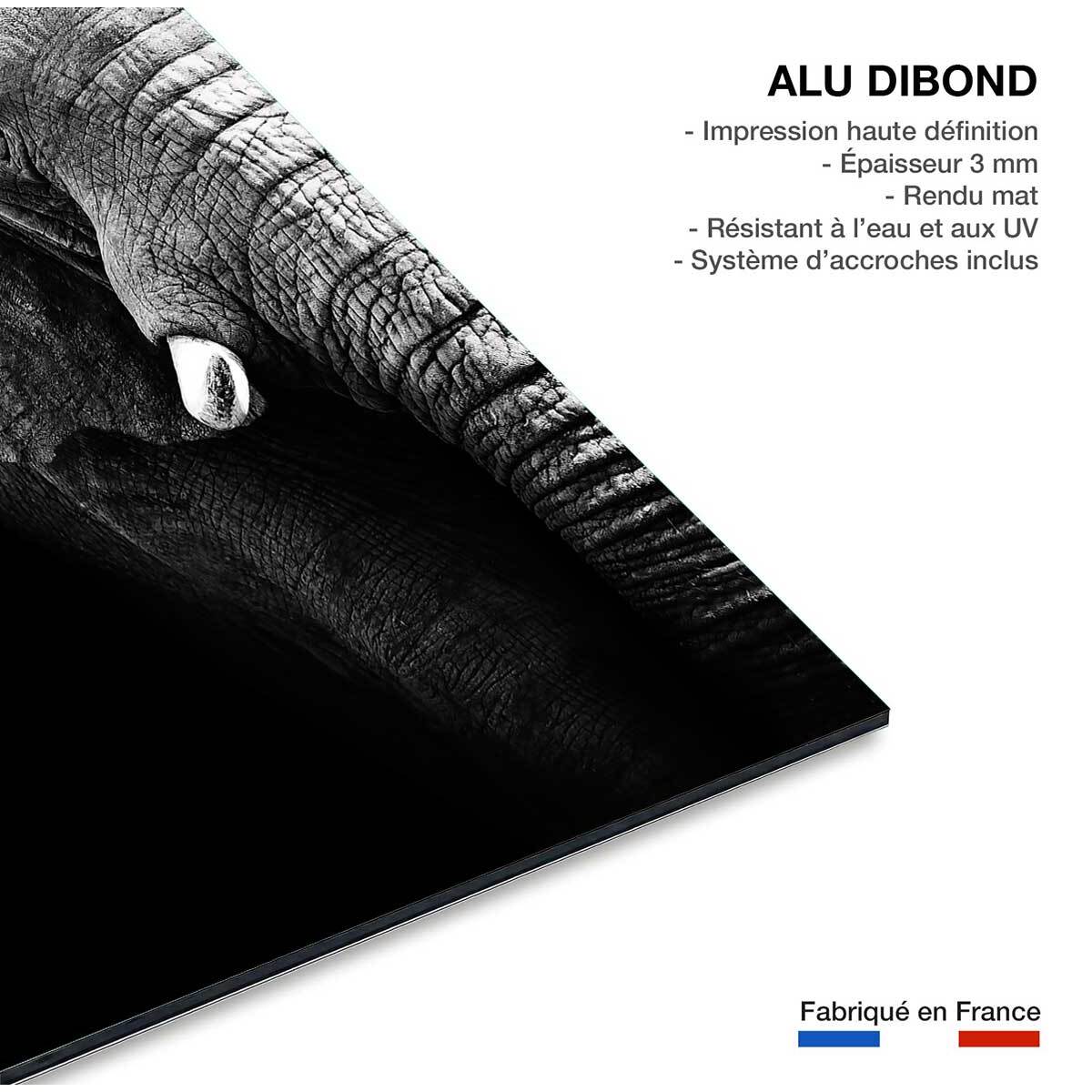 Tableau photo éléphant Tableau alu Dibond