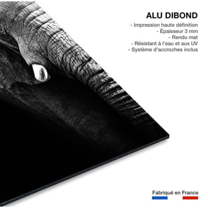 Tableau photo éléphant Tableau alu Dibond