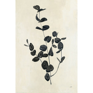 Toile fleurs Black magic Tableau plexiglas