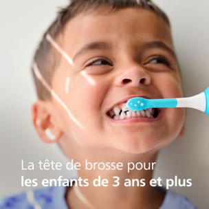 Brossette dentaire PHILIPS Sonicare x2 tetes de brosse HX6032/90