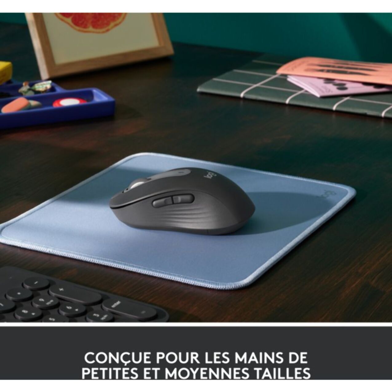 Souris sans fil LOGITECH Signature M650 Graphite