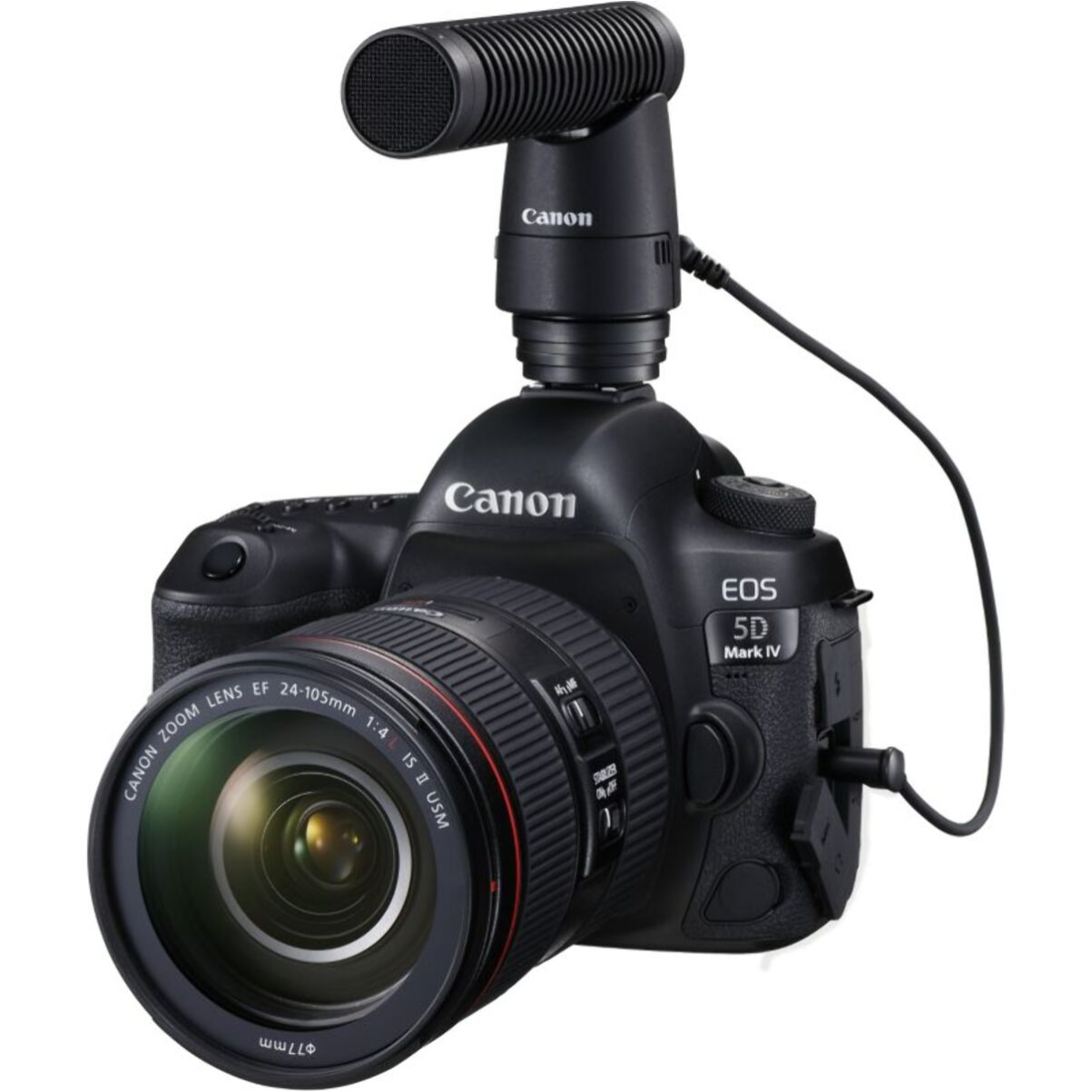 Appareil photo Reflex CANON EOS 5D Mark IV Nu