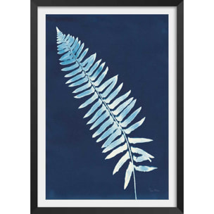 Affiche Fougère bleue Affiche + cadre en bois - Noir