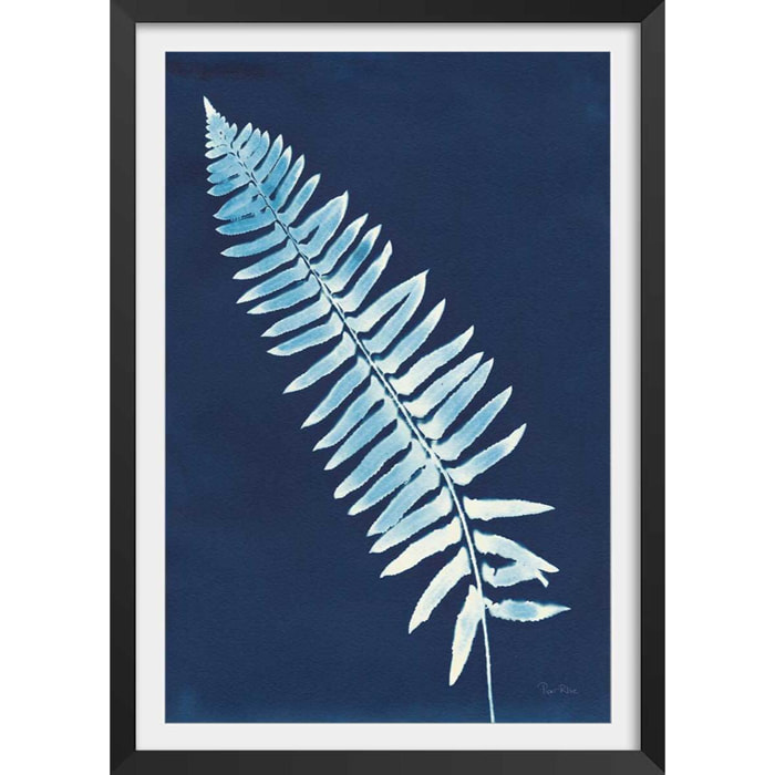 Affiche Fougère bleue Affiche + cadre en bois - Noir
