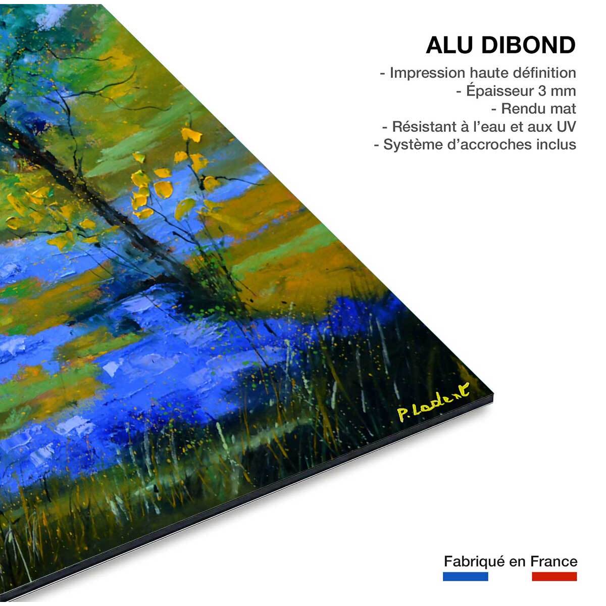 Tableau paysage flaque Tableau alu Dibond