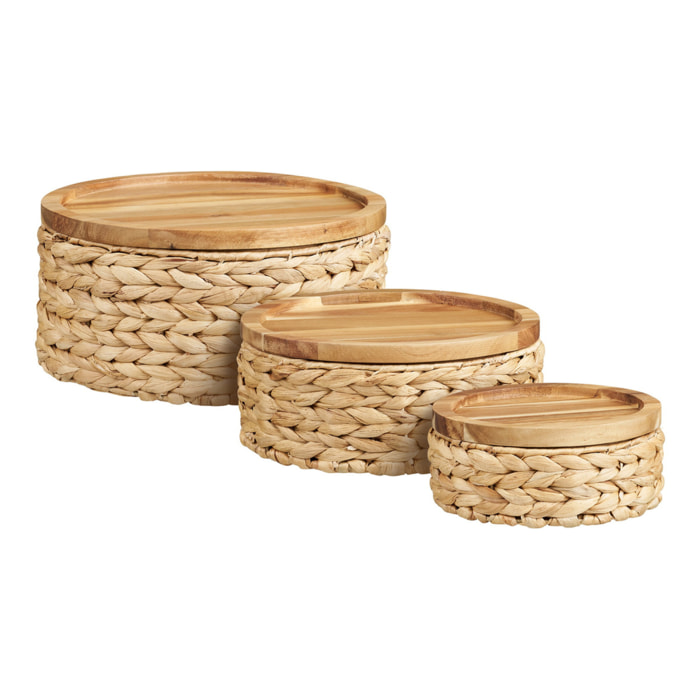 Set 3 ceste Botofte in giacinto d'acqua naturale con coperchio in legno — ø20, ø26 e ø30 cm