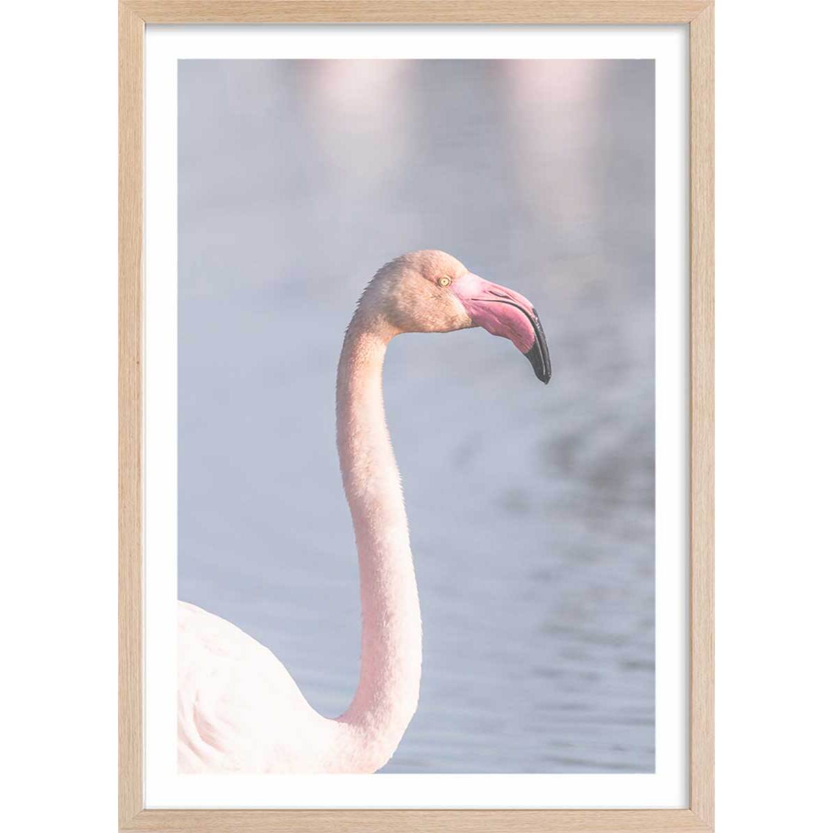 Affiche pastel pink flamingo Affiche + cadre en bois - Chêne