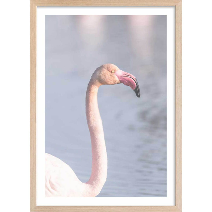 Affiche pastel pink flamingo Affiche + cadre en bois - Chêne
