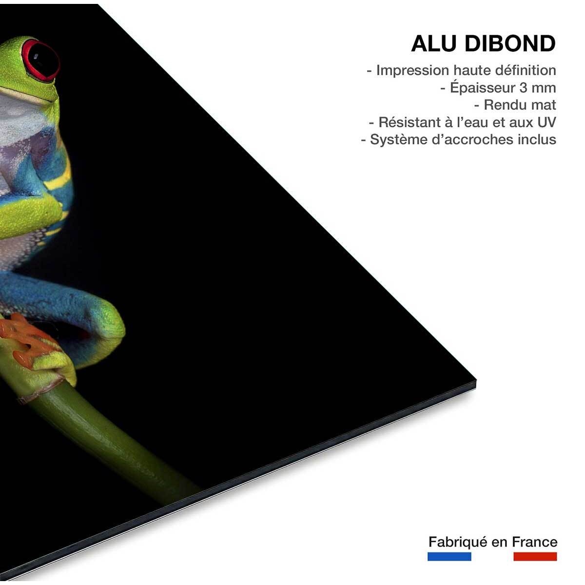Tableau animaux Grenouille Tableau alu Dibond