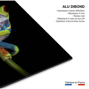 Tableau animaux Grenouille Tableau alu Dibond