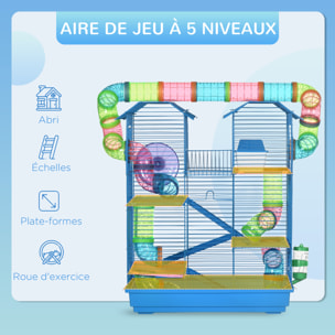 Cage pour hamster souris petits animaux rongeur avec tunnel mangeoire roue jouet 47 x 30 x 59 cm cm bleu