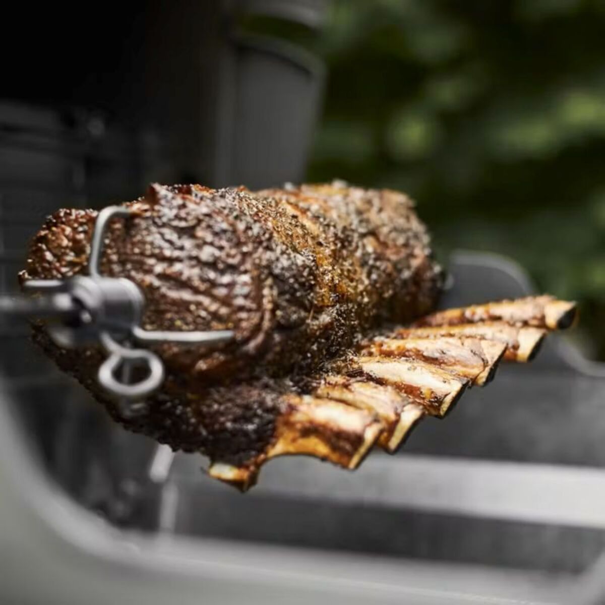 Tourne broche barbecue WEBER Spirit et barbecue pellet 3400261