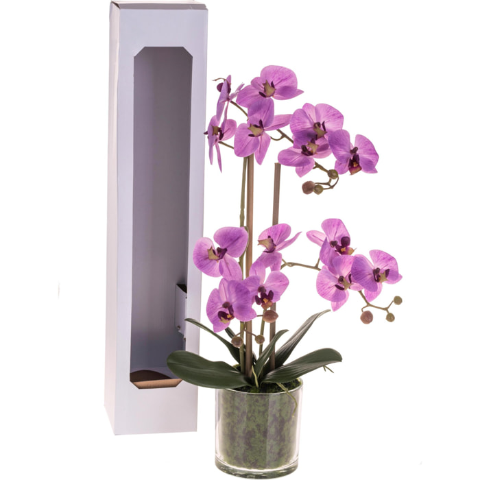 Pianta Di Phalaenopsis Con Vaso. Altezza 56 Cm - Pezzi 1 - 30X56X30cm - Colore: Rosa - Bianchi Dino - Piante Artificiali