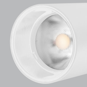 Forlight Arch - Proyector de Carril LED 17.6W Diámetro 5 |6cm. Blanco Cálido 3000K. Sistema de Carril Compatible con Carril Tri