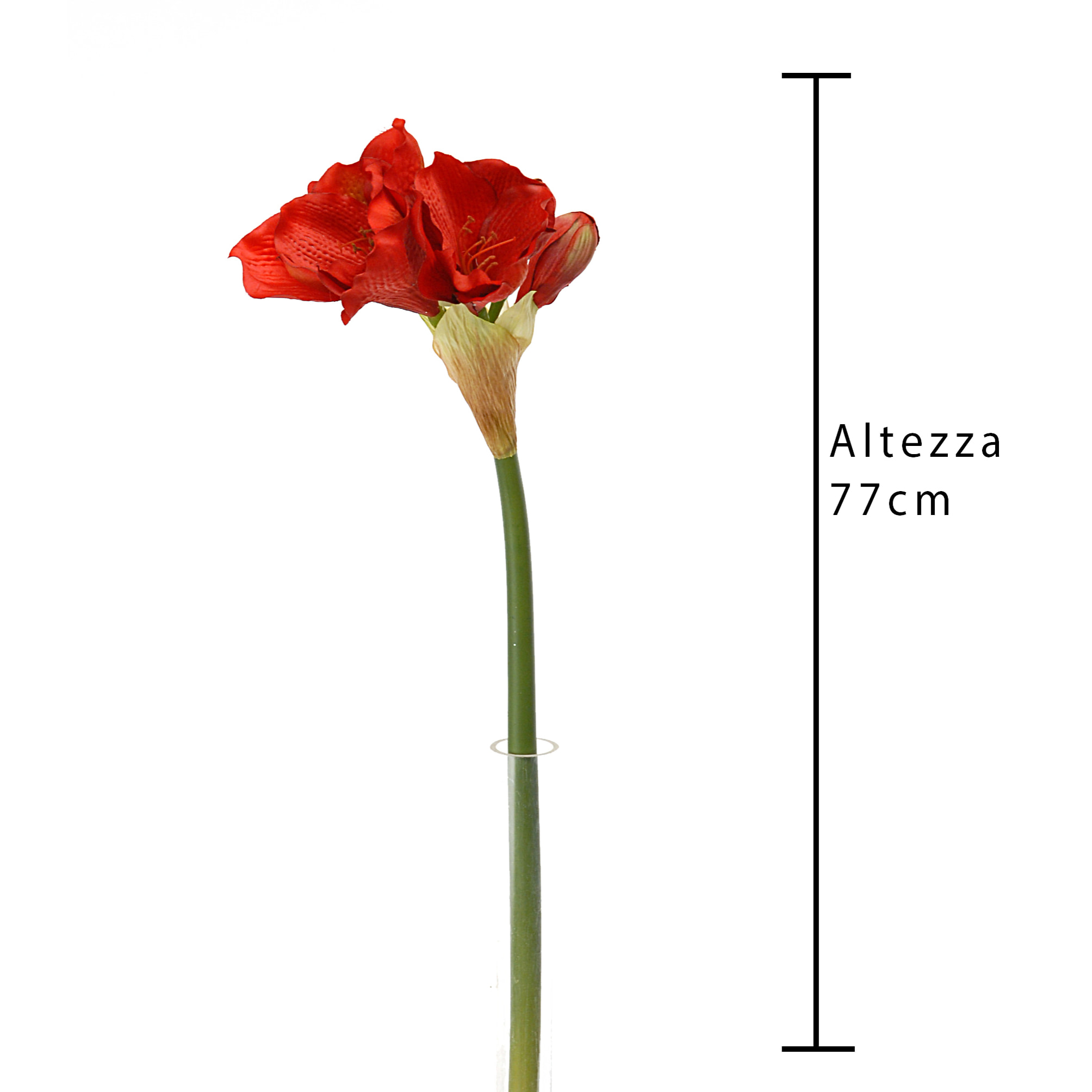 Fiore Di Amaryllis Altezza 77 Cm - Pezzi 4 - 16X77X14cm - Colore: Rosso - Bianchi Dino - Fiori Artificiali