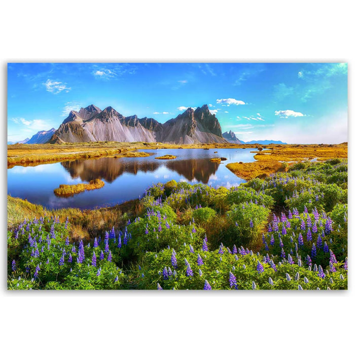 Tableau paysage fleuri aux montagnes noires Toile imprimée