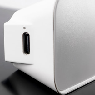 Forlight CHOC (2 uds)Lámpara para Camping LED con Batería y Recargable USB. Linterna camping Portátil Intensidad y Temperatura Regulables