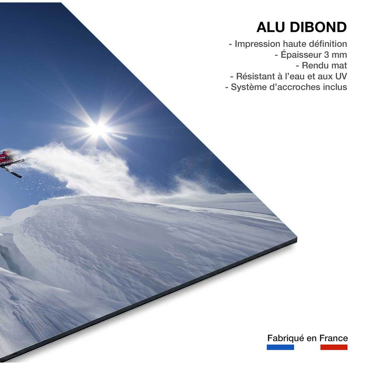 Tableau mute grab ski Tableau alu Dibond