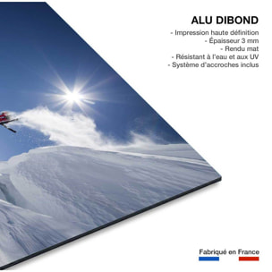 Tableau mute grab ski Tableau alu Dibond