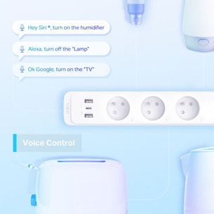 Prise connectée TP-LINK Tapo P300 Wif i+2 USB+1 USB C