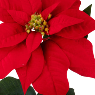 Stella natale - Pezzi 12 - ROSSO - Bianchi Dino SpA