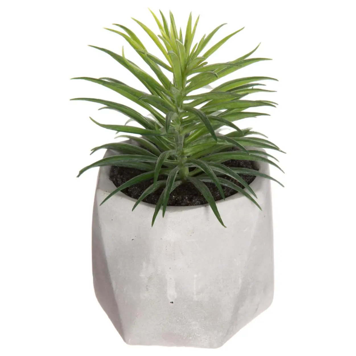 Plante grasse artificielle pot ciment H14cm
