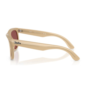 Ray-Ban Gafas de sol Wayfarer Reverse RB0502S Wayfarer reverse
