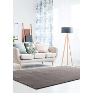 Alfombra Loft Liso Antracita, varias medidas disponibles