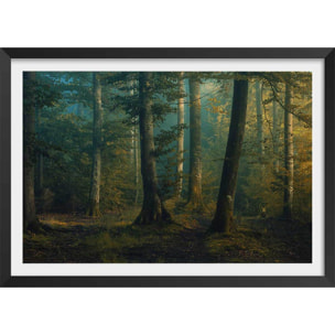 Affiche sous-bois en octobre Affiche + cadre en bois - Noir