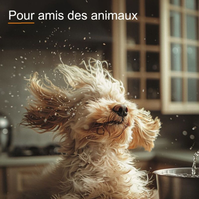 Nettoyeur de sol THOMAS Pet & Family Aqua+ (788568)