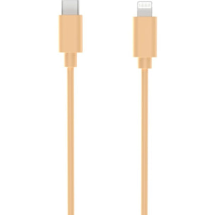 Câble Lightning ESSENTIELB USB-C vers lightning 1M Amande
