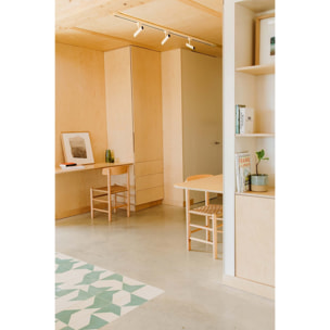 LEO Proyector de carril blanco