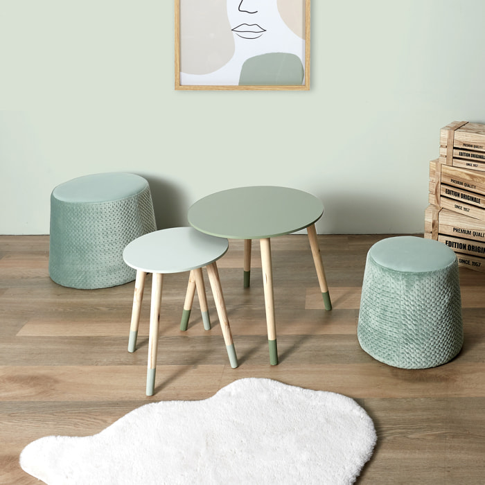 Table Gigogne Bicolore Vert X2