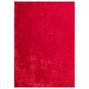 Tapis salon MITA, soft et soyeux, tapis uni à l'aspect Shaggy