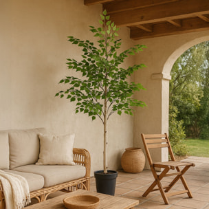 Bouleau artificiel FRAY