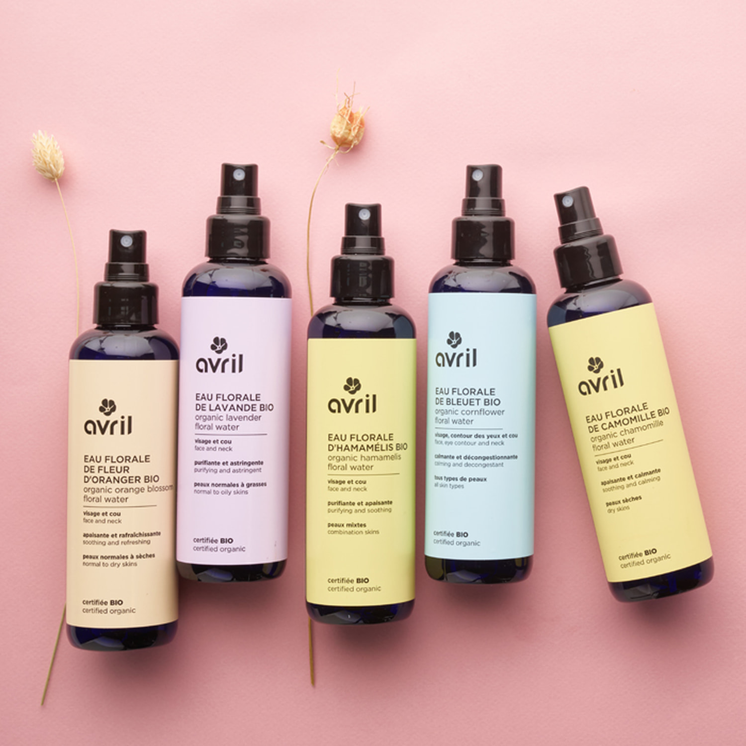 Eau florale d'Hamamélis - Certifiée bio