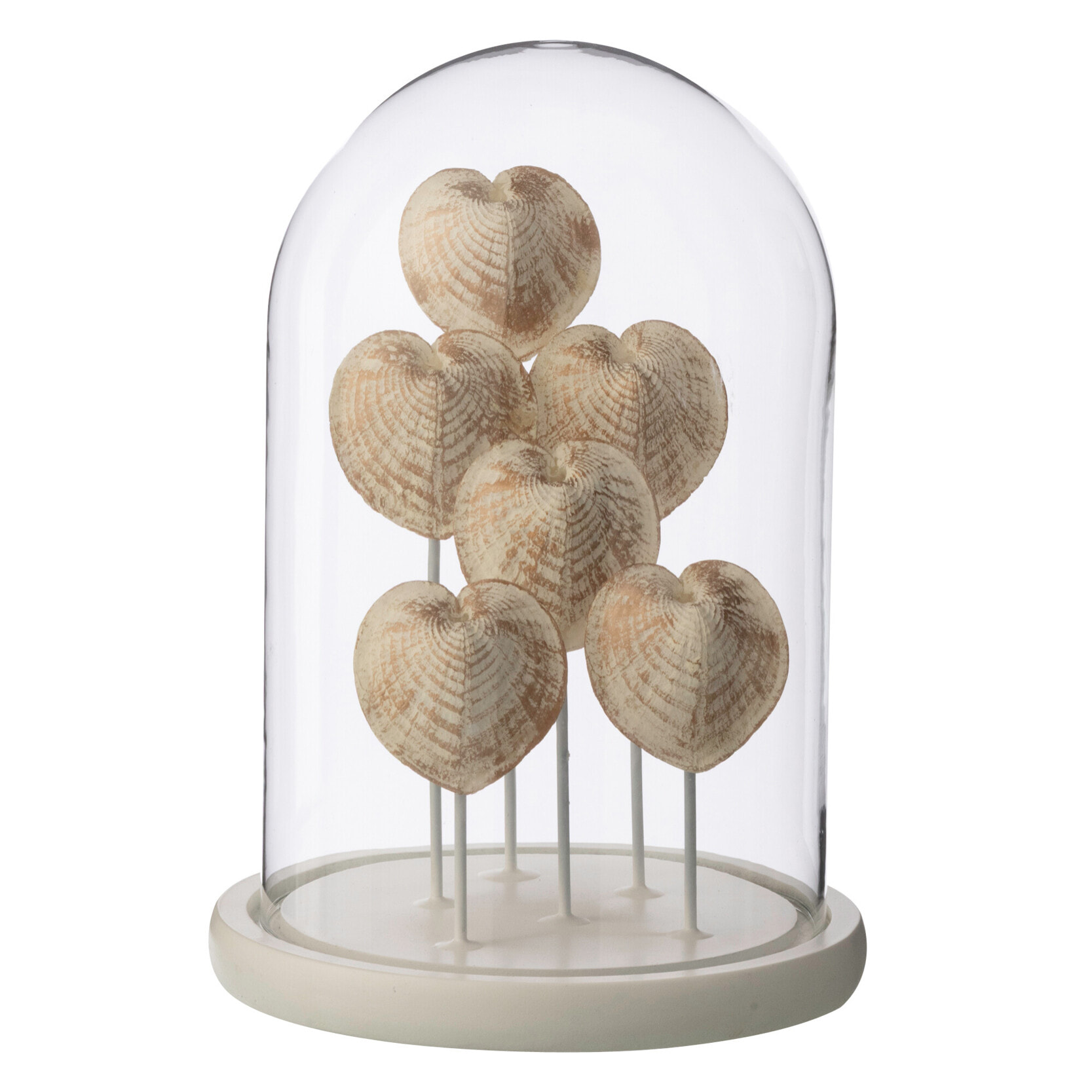 J-Line Cloche décorative Coquillage - verre - blanc/blanc cassé - small