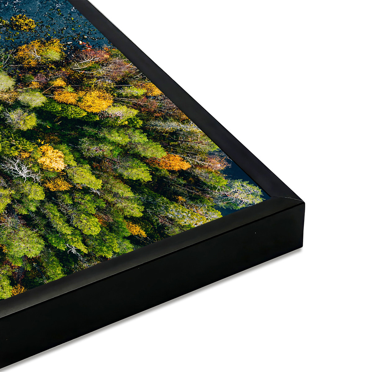 Affiche encadrée forêt d’automne vue du ciel Affiche + cadre en métal - Noir