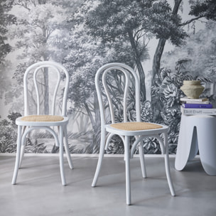 Chaise vintage bois et rotin (lot de 2) BASTILLE