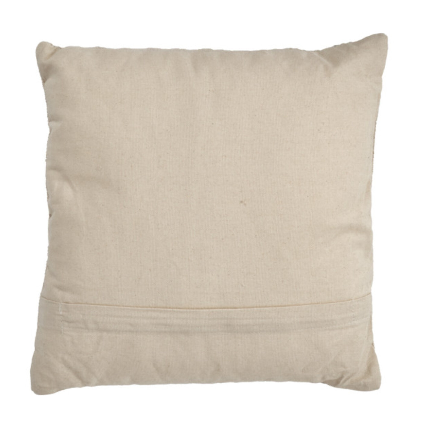 Lot de 2 coussins 40 x 40 cm en coton brodés beige - PLUME